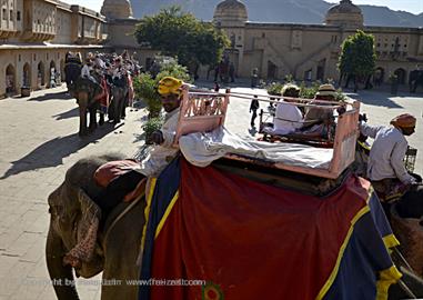 04 Fort_Amber_and Elephants,_Jaipur_DSC5042_b_H600